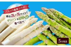 アスパラ農家コラボ！特大2L～3Lサイズ！グリーン＆ホワイト食べ比べ【5月発送】アスパラガス 野菜