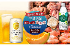北海道上富良野 容量満足ボリューム定期便 メロン 豚 ホルモン サガリ 炭酸水 ビール