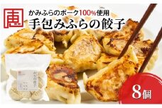【かみふらのポーク 使用】 手包み ふらの餃子 8個入 小分け ジャンボ サイズ 中華 冷凍 即席 食品 簡単 加工品 調理不要 おかず 手作り ふらの 北海道 上富良野町 北の恵