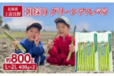 9月限定！【2026年分先行予約】 アスパラガス 専門農家 の 特選 グリーン アスパラ 800g  L～2L 原農園 アスパラ あすぱら 野菜 北海道 上富良野町