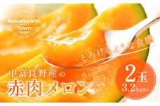 【2026年発送】中富良野　赤肉メロン2玉（計3.2kg以上）