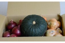 【セット】秋野菜セット（玉ねぎ8kg、紫玉ねぎ2kg、かぼちゃ1玉）
