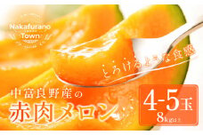 【2026年発送】中富良野　赤肉メロン 4～5玉(8kg以上)
