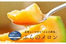【2025年発送】富良野メロン　5玉（8kg以上）