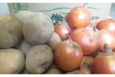 有機野菜セット2種