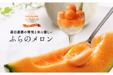 【2026年発送】藤田農園ふらのメロン（赤肉）2玉