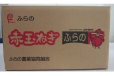 赤玉葱　L大　10kg