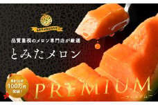 【2025年発送】ふらの赤肉メロン　8kg（4～6玉）