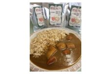 野菜カレー6袋