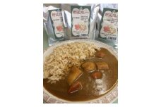 野菜カレー6袋