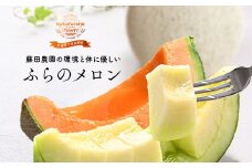 【2026年発送】ふらのメロンよくばりセット（赤肉・青肉）　2玉