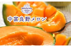 【2025年発送】【鈴和産】遠藤ファームの中富良野メロン　8kg（3～6玉）