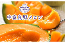 【2026年発送】【鈴和産】遠藤ファームの中富良野メロン8kg（3～6玉）