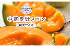 【2025年発送】【特大サイズ】遠藤ファームの中富良野メロン　特大2玉4kg以上