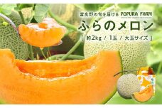 【2025年発送】【ポプラファーム】富良野メロン（2kg以上　秀品　大玉1玉）