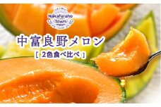 【2025年発送】【鈴和産】遠藤ファームの食べ比べ赤青セット