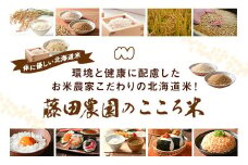 【令和7年産】お米ななつぼし　10kg（無洗米）