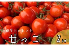 北海道中富良野産の高糖度ミニトマト《甘っこ》2kg