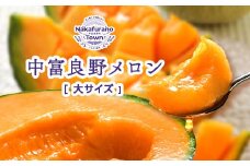 【2025年発送】北海道赤肉メロン大玉2玉セット（糖度15°以上3.2kg以上）