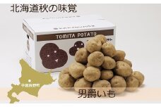 男爵いも　10kg