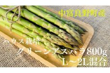 【2025年発送】石岡農園のグリーンアスパラ（ハウス栽培）L～2L　800g