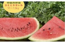 ひとときすいか　1玉（11キロ～13キロ）数量限定