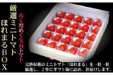 【2025年発送】【中富良野町】厳選ミニトマトほれまるBOX