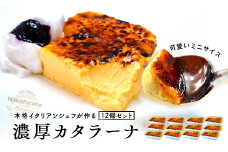 カタラーナ　ミニセット　プレーン12個