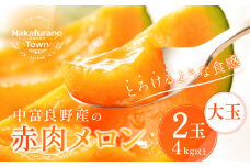 【2025年発送】中富良野　赤肉メロン　大玉2玉（計4kg以上)