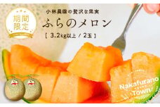 【2025年発送】中富良野産　赤肉メロン（3.2kg～4.0kg）　2玉