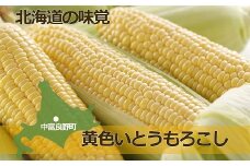 朝採れ黄色いとうもろこし　8本×2箱