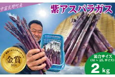 【2025年発送】【中富良野町寺坂農園】紫アスパラガス（2kg）