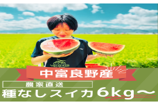 【2025年発送】種なしスイカ　1玉　（6kg～）