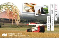 【令和7年産】お米ゆめぴりか　10kg（玄米）
