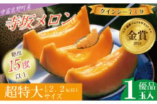 【2025年発送】【中富良野町】寺坂メロン　1玉入り（赤肉超特大）
