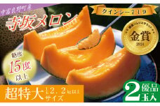 【2025年発送】【中富良野町】寺坂メロン　2玉入り（赤肉超特大）