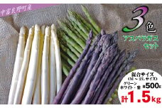 【2025年発送】【中富良野町産】3色アスパラガスセット（1.5㎏）