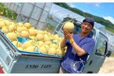 【2025年発送】遠藤ファームの中富良野メロン　青肉特大 2玉4kg以上