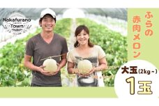 【2025年発送】ふらのメロン(赤肉)大玉1玉（2㎏～）