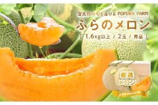 【2025年発送】【ポプラファーム】【桐箱】極上の富良野メロン　中玉2玉（計3.2kg以上　秀品）