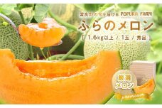【2025年発送】【ポプラファーム】【桐箱】極上の富良野メロン　中玉1玉（計1.6kg以上　秀品）
