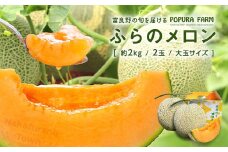 【2025年発送】【ポプラファーム】富良野メロン　大玉2玉（計4kg以上　秀品）