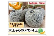 【2025年発送】【ポプラファーム】富良野メロン 大玉4玉（計8kg以上　秀品）