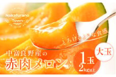 【2025年発送】中富良野　赤肉メロン大玉　1玉（2kg以上)