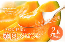 【2025年発送】中富良野　赤肉メロン　2玉（計2.6kg～)