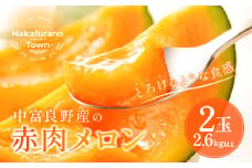 【2026年発送】中富良野赤肉メロン2玉（計2.6kg～)
