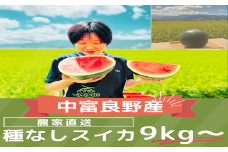 【2025年発送】種なしスイカ　1玉　（9kg～）