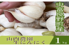 【2025年発送】山内農園の生にんにく1kg