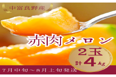 【2025年発送】中富良野産赤肉メロン2玉　計4kg