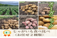 【2025年発送】【JAS認定】オーガニックじゃがいも食べ比べ（おまかせ2種類）10kg